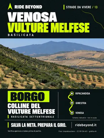 Grafica RIDE BEYOND · Venosa