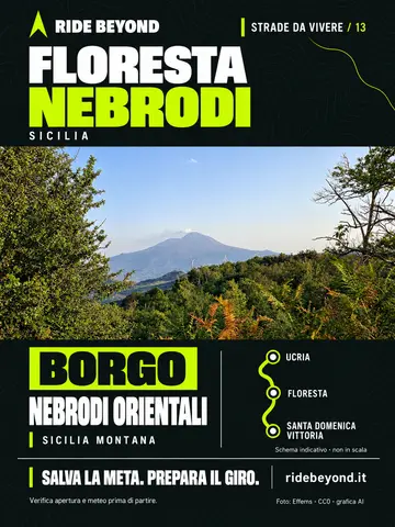 Grafica RIDE BEYOND · Floresta