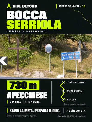 Grafica Bocca Serriola